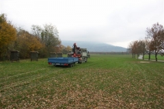 14 novembre 2008 - Installation du container "Club house"